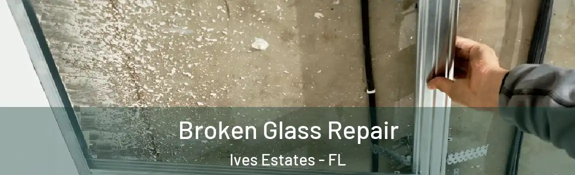  Broken Glass Repair Ives Estates - FL