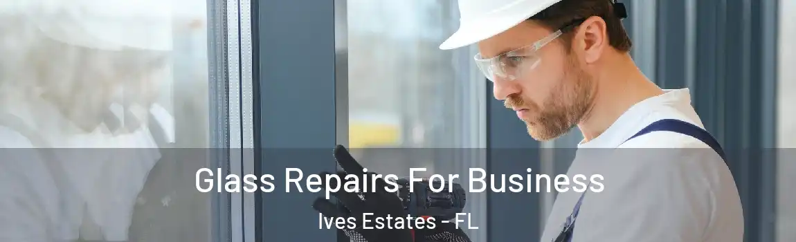  Glass Repairs For Business Ives Estates - FL