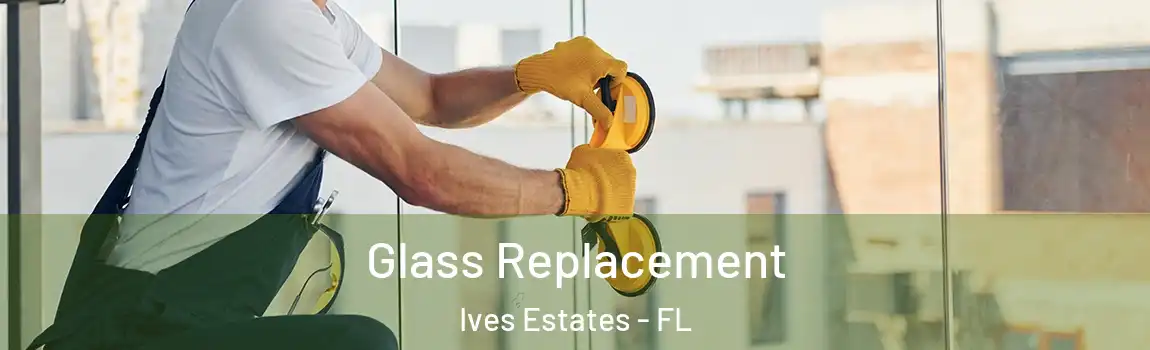  Glass Replacement Ives Estates - FL