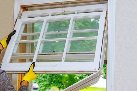 Window Replacement in Ives Estates, FL